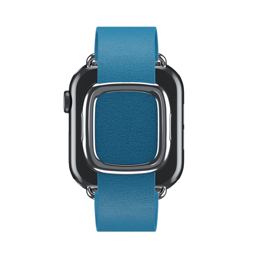 Blue Jay Modern Buckle for Apple Watch iSTRAP