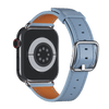 Frost Contemporary Buckle for Apple Watch iSTRAP
