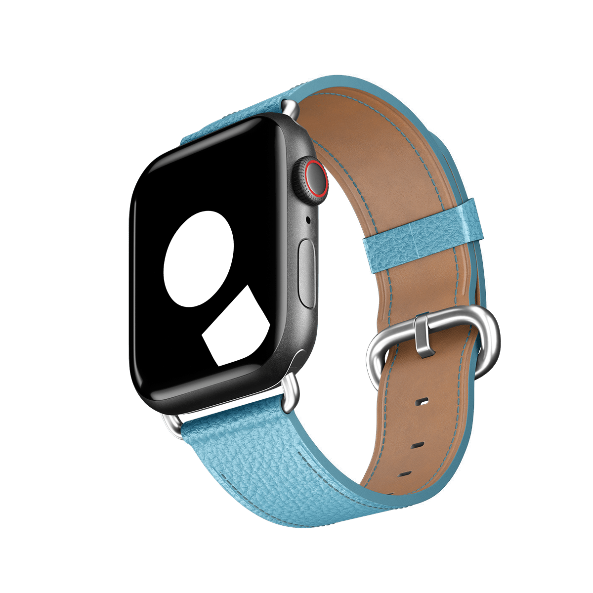 Blue Jay Classic Buckle for Apple Watch