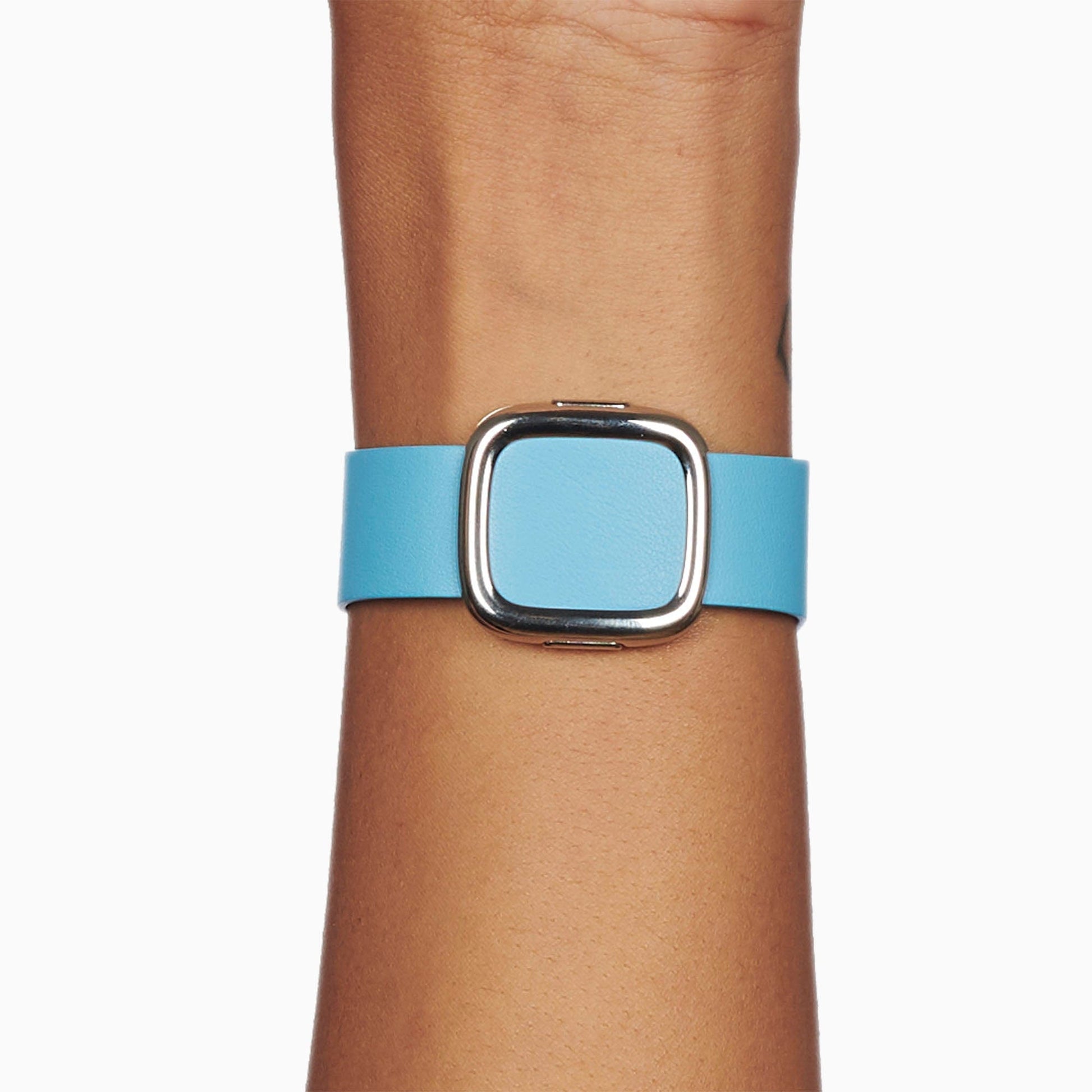 Blue Jay Modern Buckle for Apple Watch
